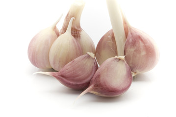 heads and cloves of fresh garlic on white background