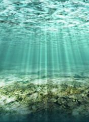 underwater, ocean floor