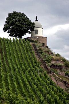 Schloss Wackerbarth in Radebeul bei Dresden