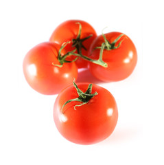 fresh red tomatoes