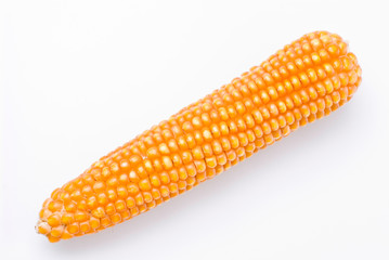 Isolated yellow corn cob on white background