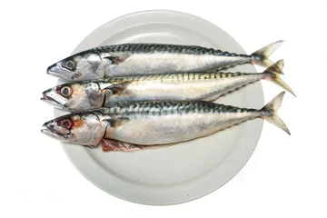 Papier Peint photo autocollant Poisson Three mackerel fish on a plate