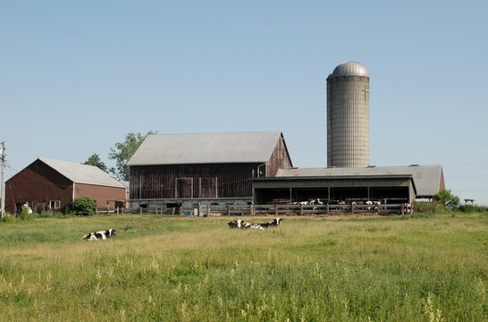 Bauernhof mit Silo