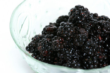 Bowl of Fresh Blackberries - Healthy Eating