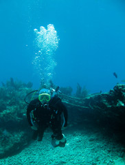 Shots of scuba diving in the Florida keys
