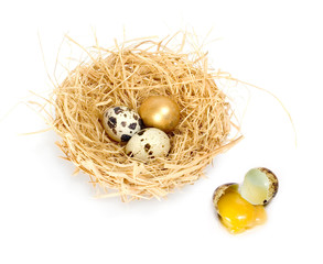 Obraz premium Broken egg and bird nest with golden egg
