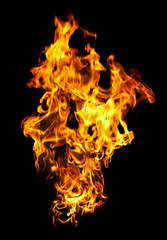 Fototapeta premium Fire photo on a black background ...