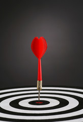 Portrait shot of a Red dart on bull's eye of a dart board