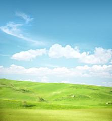 Obraz premium Green landscape