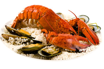 Lobster