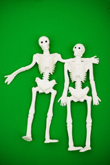Two white skeletons on green background with copy space