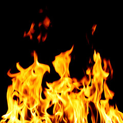 Fototapeta premium inferno flame fire on black background close up