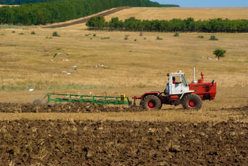 Fototapeta premium farmer plowing the field 2
