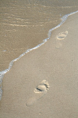 Fototapeta na wymiar Foot prints in a sand on abeach