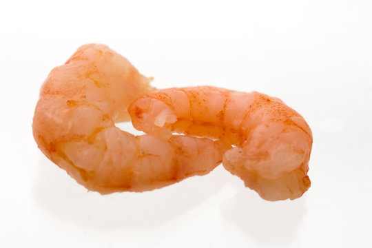 Very high resolution close-up shot of shrimps