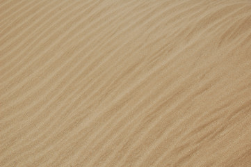 Sea sand background