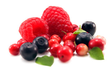 berry isolated on white background