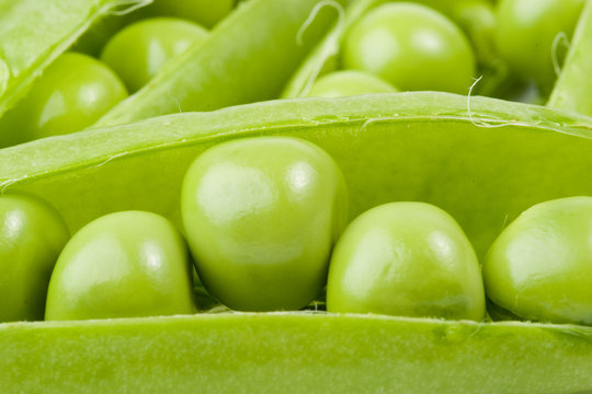Fresh pods of peas on a white background