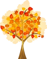 Naklejka na ściany i meble autumn tree with colourful leafs