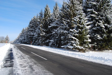 winter road