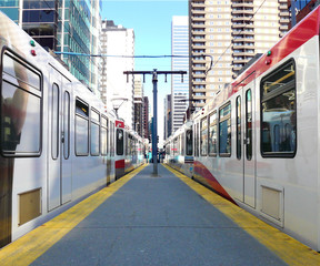 City Transit © Little Tomato Studio