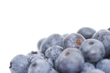 pile of blueberries isolated against white backround
