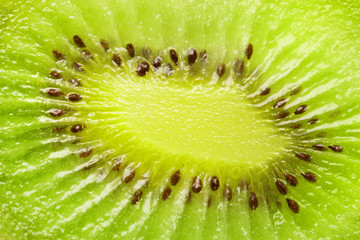 Macro photo of sliced kiwi fruit with seed.