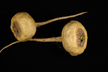 maca - lepidium meyenii