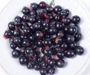 Black currants in a plate