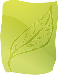Illustration of a leaf smooth zen lineart