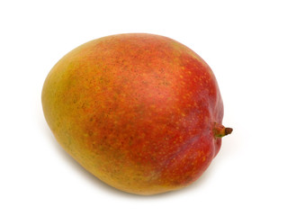 single mango on white background