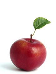 red apple,green leaf