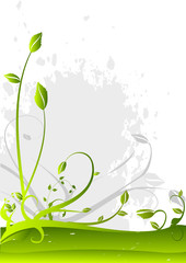 fond floral
