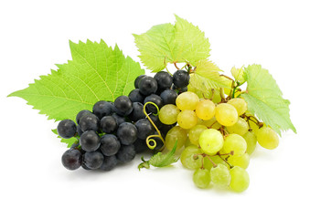 cluster of green and blue grape isolated on white background