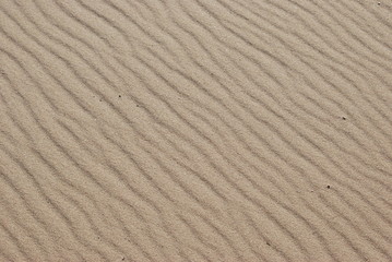 sable purete