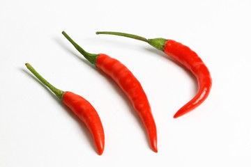 red hot chili pepper isolated on white