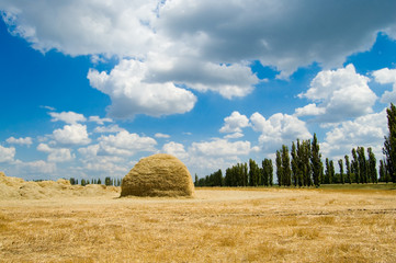 stack of straw on a background blue sky with clouds