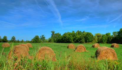 bales of hay