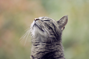 What is that smell?