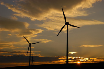 Windräder im Sonnenuntergang