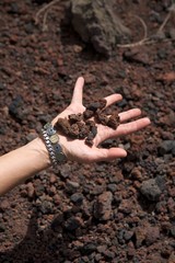 hand with little stones