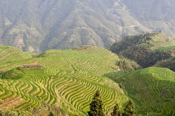 Fotobehang Guilin Rice Field Terrace © Viacheslav Gorelik