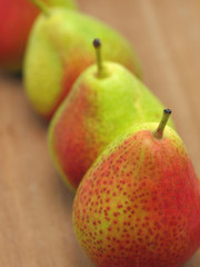 sugar pear #4