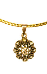 Pendant on golden  chain isolated on the white