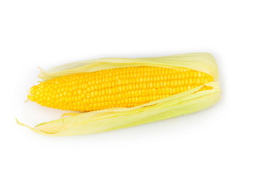 Corn cobs isolated on the white background