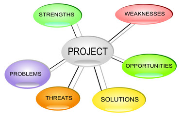 Project Management SWOT