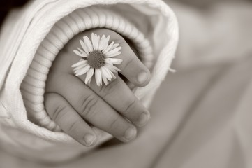 Kleine Finger