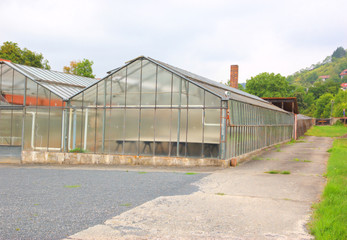 Obraz premium treibhaus