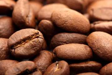 Coffee Graines
