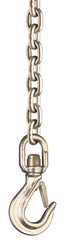 chain and hook 1